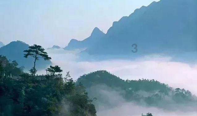 拯救落难小鸟